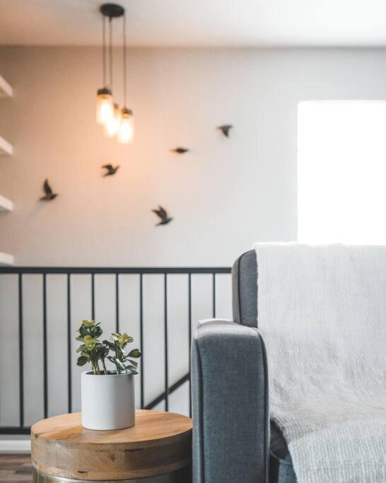 Porchlight Home Central San Diego Free Parking Eksteriør billede